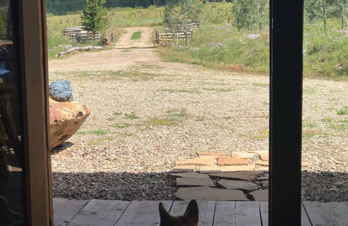 Dolores Cabin | In the Aspens of peace and tranquility in Southwest Colorado!