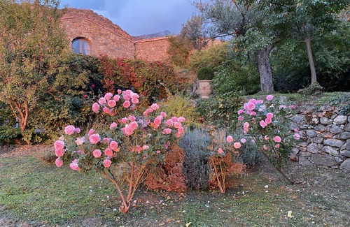Urtaca House | In the heart of Balagne, beautiful traditional building with heated pool