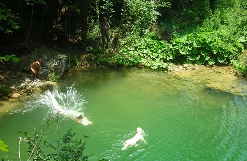 Montegabbione House | In typical farmhouse in the green with swimming pool, on the border with Tuscany and Lazio 1