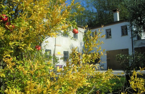 Cornoleda Apartment | In Venice, 1 hour by train, the 2025 Architecture Biennale ends on November 23.