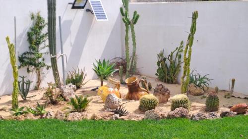 Specchiarica House | Incantevole villa al mare