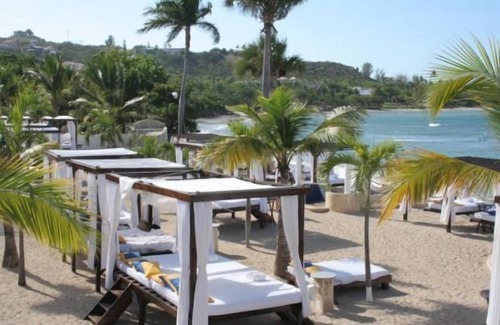 Puerto Plata Condo | INCLUDED ALL-INCLUSIVE fees! GOLD VIP in a 1 Bedroom Lavish Presidential Suite!