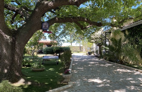 Cers House | Independent suite- Ground floor of our family home in the middle of a vineyard