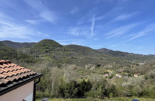 Ricco del Golfo di Spezia Villa | Independent villa the Debbio 011023-LT-0044