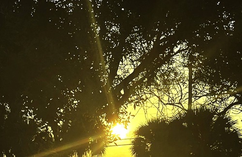 Indian River Estates Apartment | INDIAN RIVER GUEST HOUSE! Beautiful views overlooking the Indian River Lagoon!
