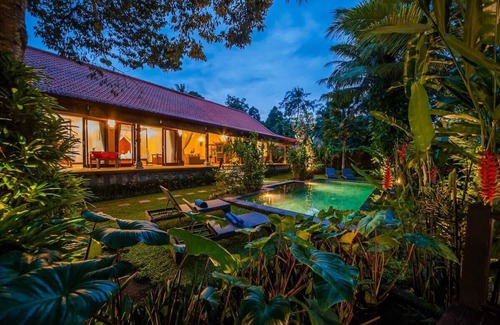 Ubud Villa | Infinity Jungle View Aashaya Villa Ubud
