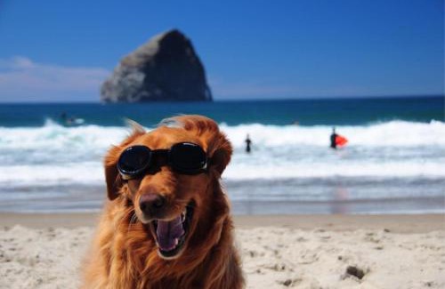 Pacific City Hotel | Inn at Cape Kiwanda