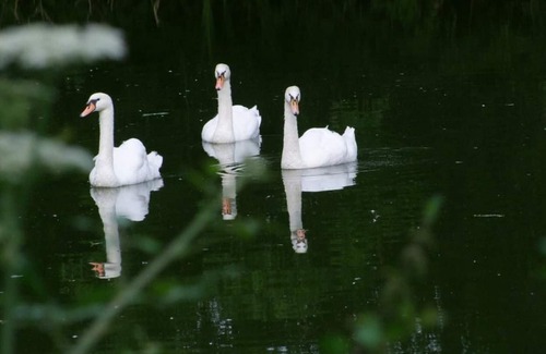 Saint-Paer House | Inn Saint-Paër, 4 bedrooms, 8 people