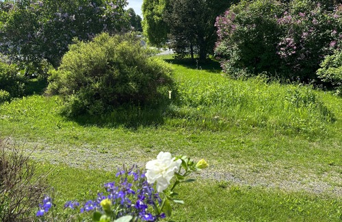 Kemi Apartment | Interesting Kemi Apartment with peaceful environment & free parking