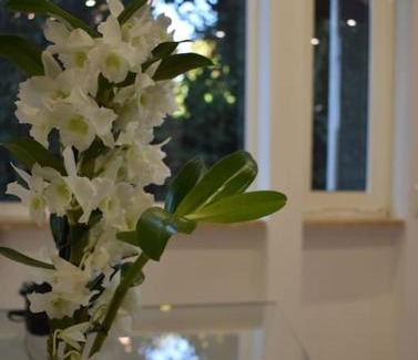 Zona XXXIV Casal Palocco Apartment | Ipponatte 29 Roma Casal Palocco