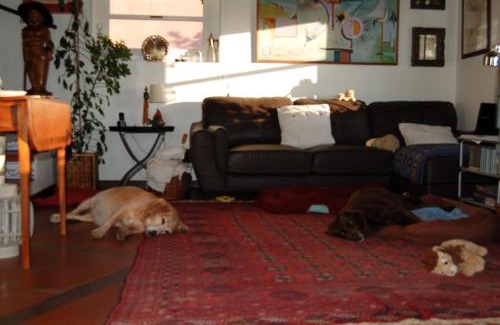 Sintra House | Isa's Home
