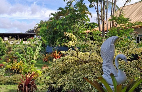 Cayenne House | Island colors