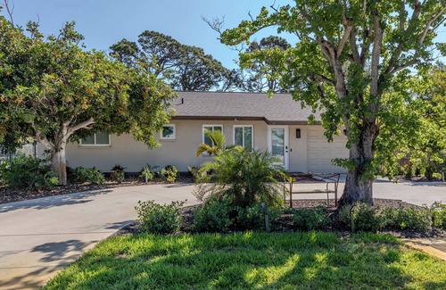 Venice House | Island House w Pool, minutes from downtown, beaches, shops and restaurants!