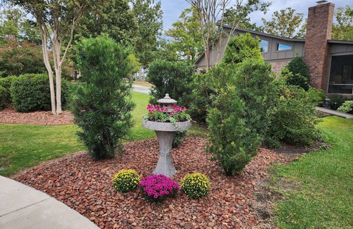 Chapin Apartment | Island's Sunset Gold Guest Room on Beautiful Lake Murray