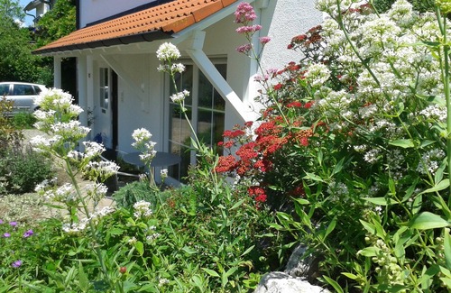 Uhldingen-Muehlhofen Apartment | Issy: 1 room apartment in Oberuhldingen