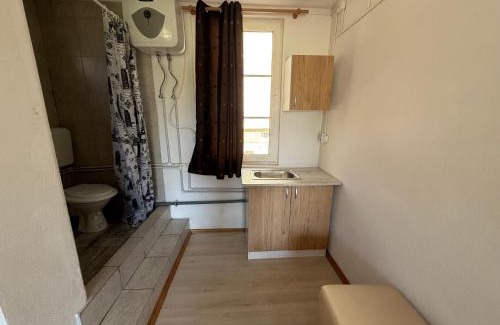 Sangeorgiu de Padure Apartment | István