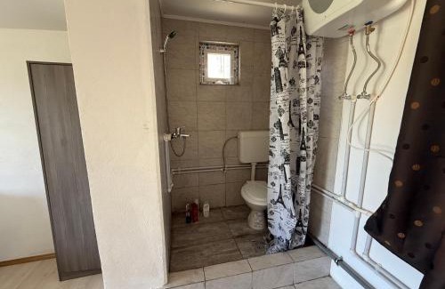 Sangeorgiu de Padure Apartment | István