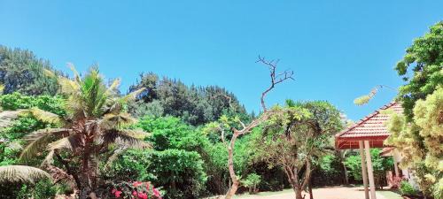 Matara Bed & Breakfast | Isuru Holiday Inn