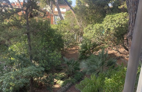 Marina di Castagneto Carducci House | SMERALD -