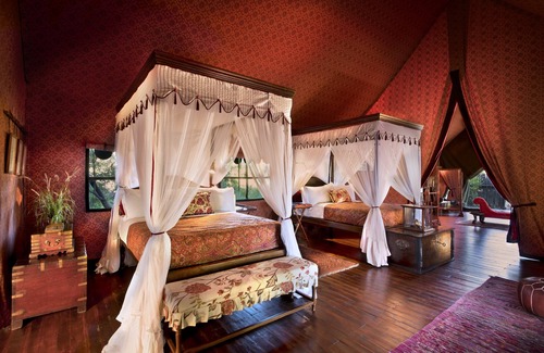 Central Kalahari Game Reserve Other | Jack's Camp