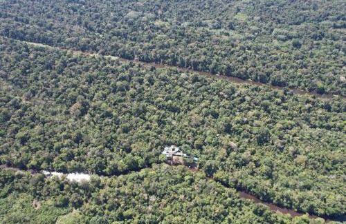 Indiana Cabin | Jacamar Lodge Expeditions