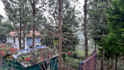 Kanthalloor Hotel | jacaranda resorts