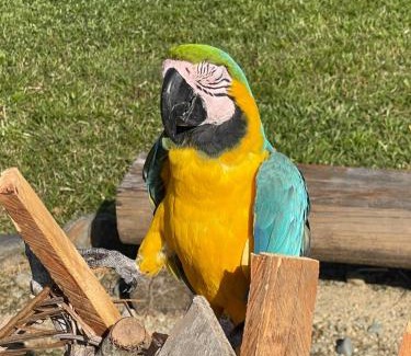 San Carlos Resort | Jaguar Falls Ranch Resort & Spa