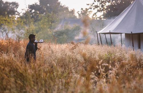 Turiya Other | Jamtara Wilderness Camp - Pench National Park