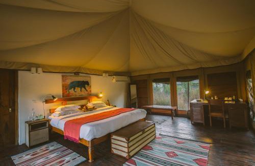 Turiya Other | Jamtara Wilderness Camp - Pench National Park