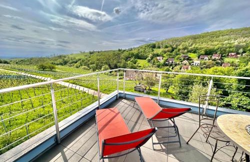 Reichsfeld Villa | JANÉA Deep Red House