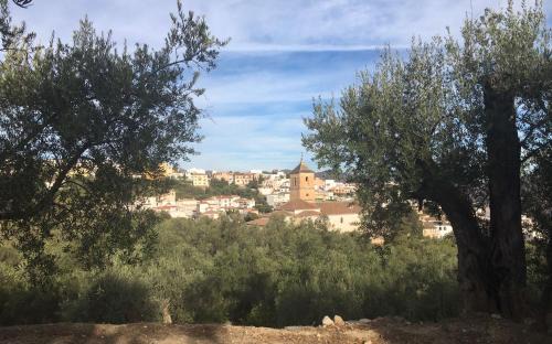 Pinos del Valle Apartment | Jardin Andaluz veleta