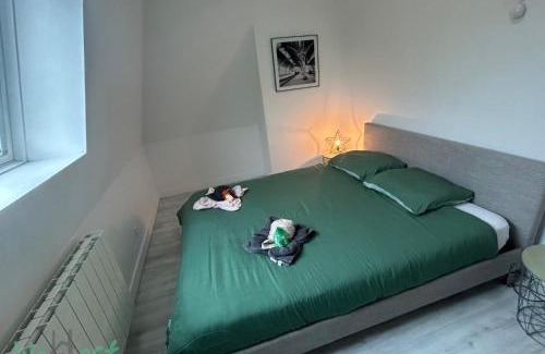 Saint-Maurice Pellevoisin Apartment | Jasmine-Close to station,Grd Palais,Zénith&Center