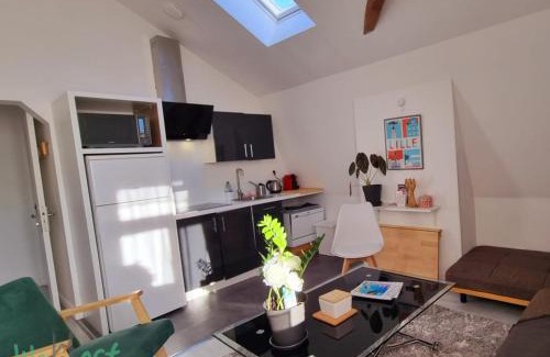 Saint-Maurice Pellevoisin Apartment | Jasmine-Close to station,Grd Palais,Zénith&Center