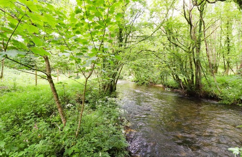 Mount Cottage | JASMINE COTTAGE, romantic, with a garden in Bodmin