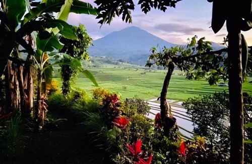 Penebel Other | Jatiluwih Glamping