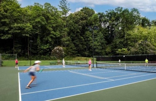 Lake Lure Condo | JayBird's Nest at Rumbling Bald in Lake Lure w/pools, sauna, lake, spa, golf