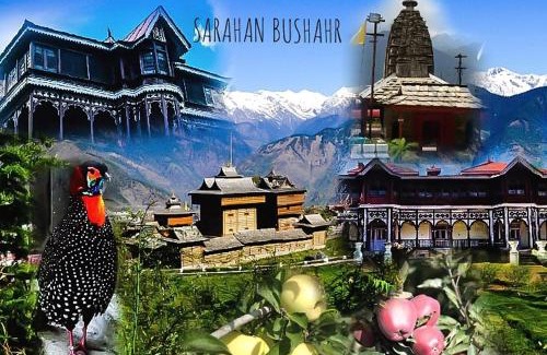 Sarahan Hotel | JEEVAN JYOTI Hotel