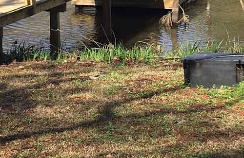 Zwolle House | Jeff's Cottage*3 bedroom*2 bath*Toledo Bend*Louisiana Side*1215 area