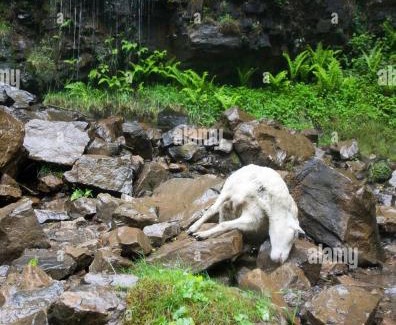 Le Neufbourg Apartment | Jenny's Gite