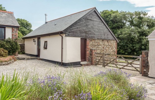 Holsworthy Cottage | Jenny Wren