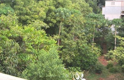 Madurai House | Jeyaraj's Home