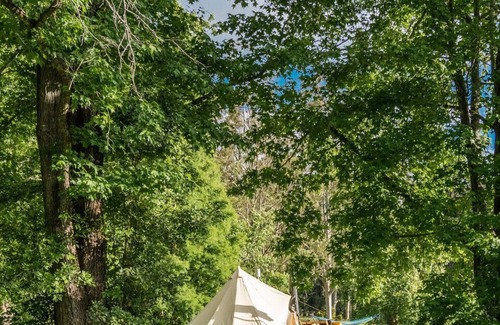 Lemon Tree RV Rental | Jilliby Creek Glamping Tent