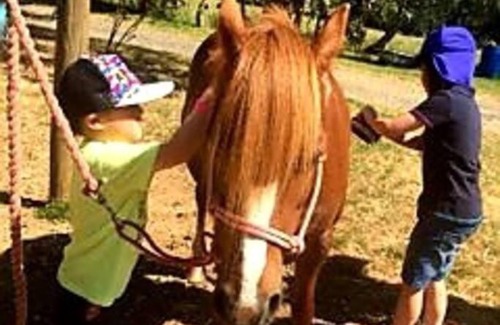 Buln Buln House | Jilly Park Farmstay Experience Discover Authentic Farm Life Complimentary Breakfast Included