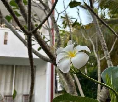 Nalagasdeniya Hotel | Jippie The Villa