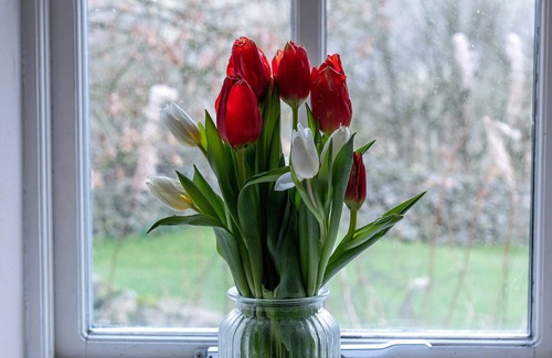 Gunnerside Cottage | JOE HOUSE, family friendly, character holiday cottage in Gunnerside