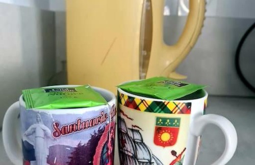 Bonneville Apartment | Joli Appartement vue montagne, cosy avec jardin