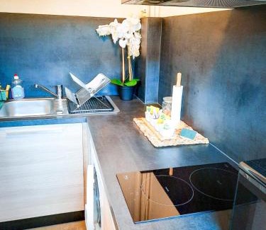 Limoges Apartment | JOLI STUDIO AVEC PARKING ET NETFLIX - Proche du palais des exposition, du stade de Beaublanc et du Zenith