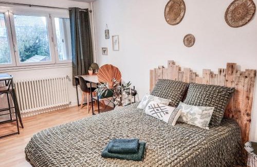 Limoges Apartment | JOLI STUDIO AVEC PARKING ET NETFLIX - Proche du palais des exposition, du stade de Beaublanc et du Zenith