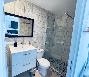 Le Boulou Apartment | Joli T2 avec extérieur