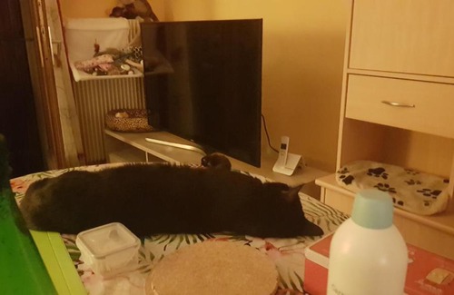 Reignier-Esery House | Jolie chambre dans une copropriété paisible